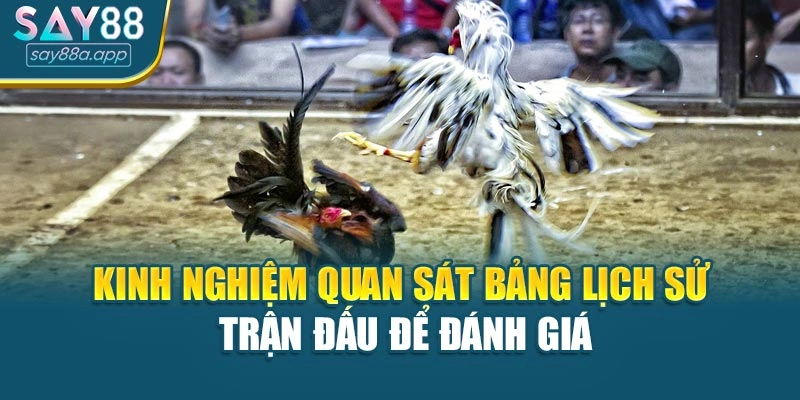 Kinh nghiệm quan sát bảng lịch sử trận đấu để đánh giá